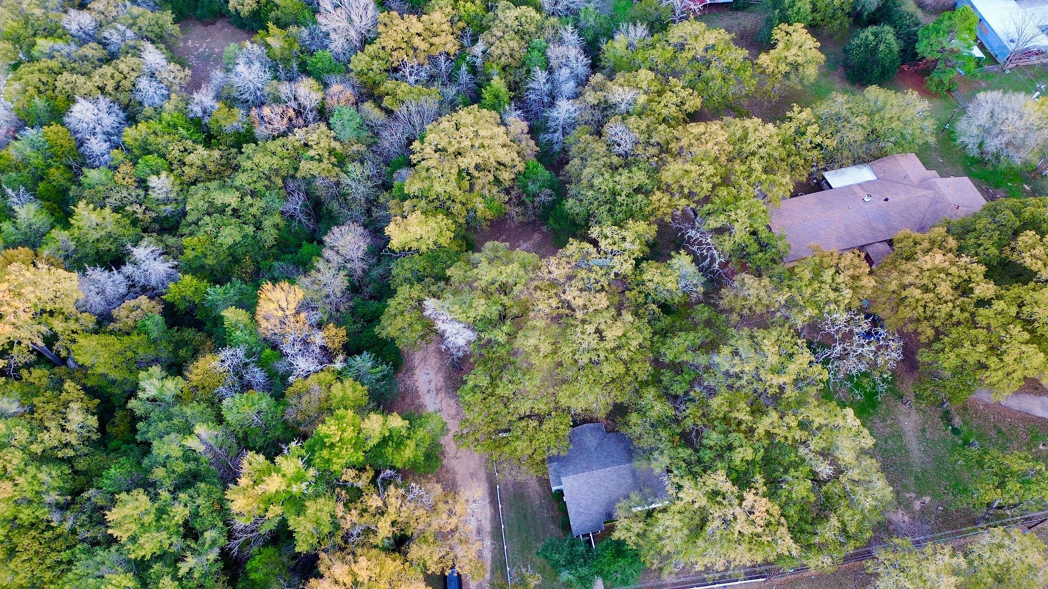 9278 Highway 77 Lexington, TX 78947 - Photo 35 of 37 a view of a and yard