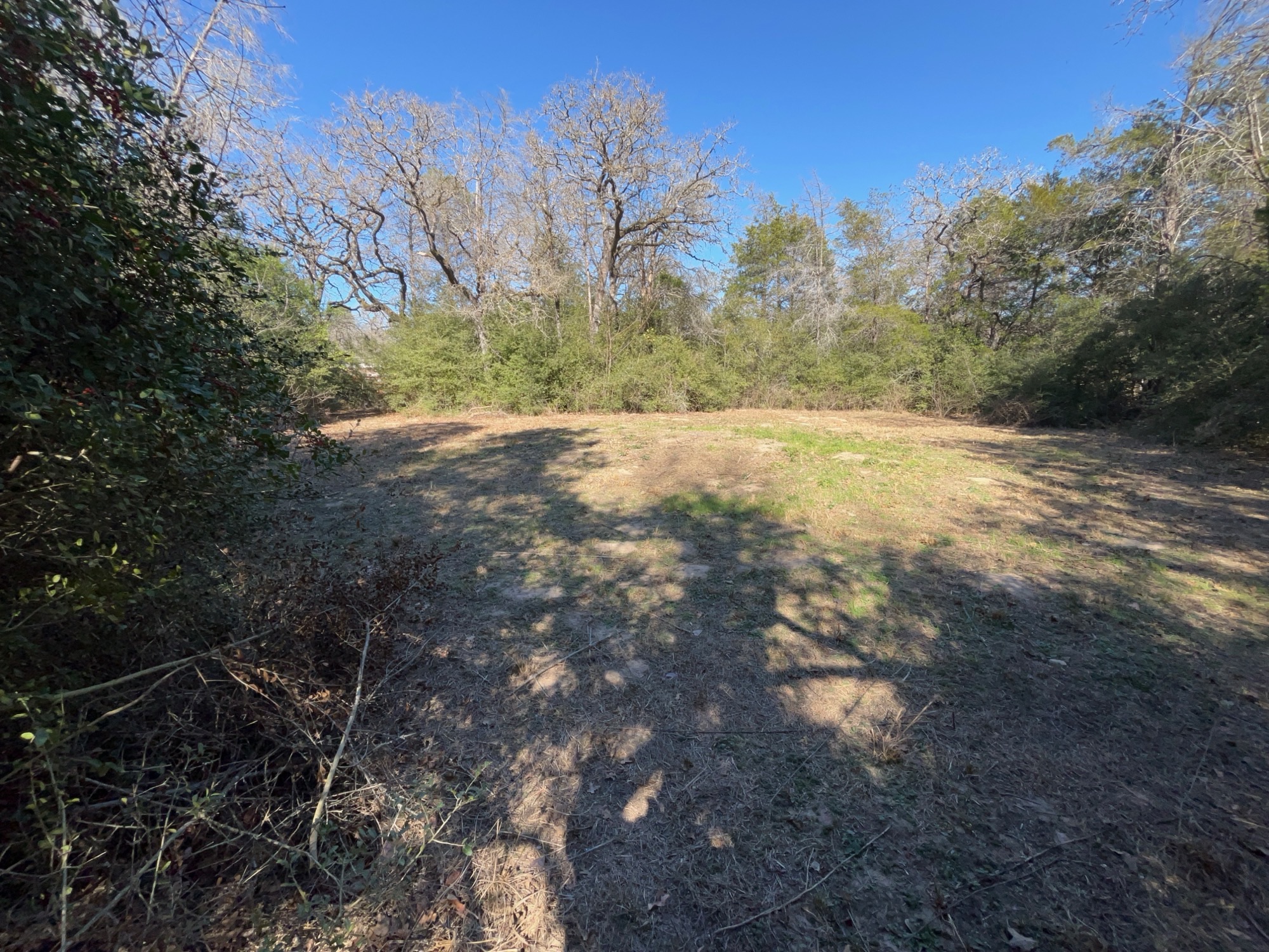 9278 Highway 77 Lexington, TX 78947 - Photo 37 of 37 a view of a yard with trees in the background
