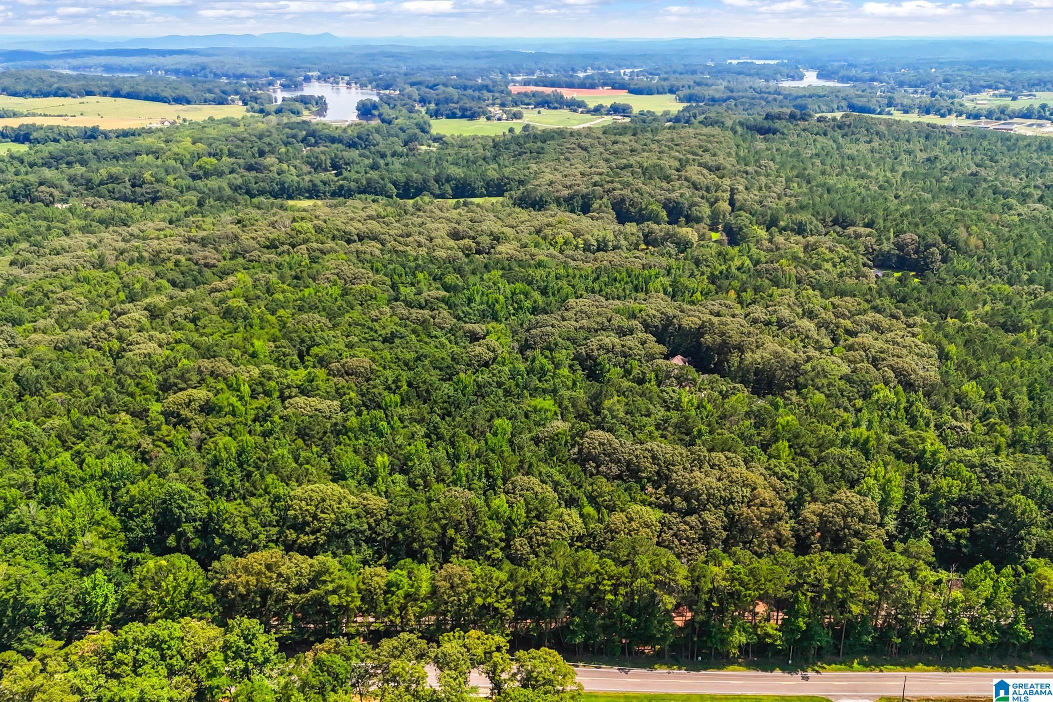 931 Newsome Road Wilsonville, AL 35186 - Photo 73 of 79