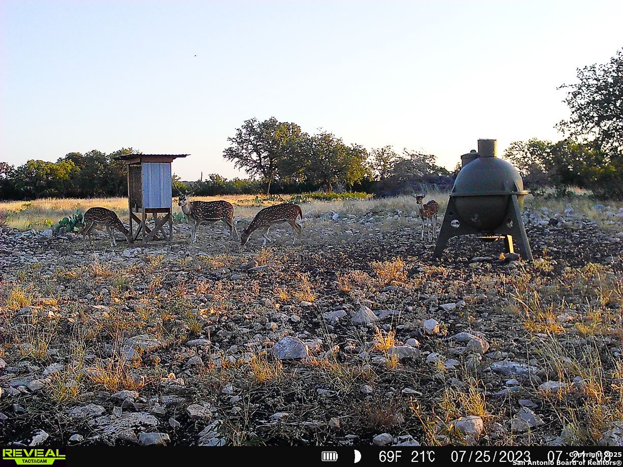 482 Wingert Road Junction, TX 76849 - Photo 39 of 61 a view of a dry yard with wooden fence