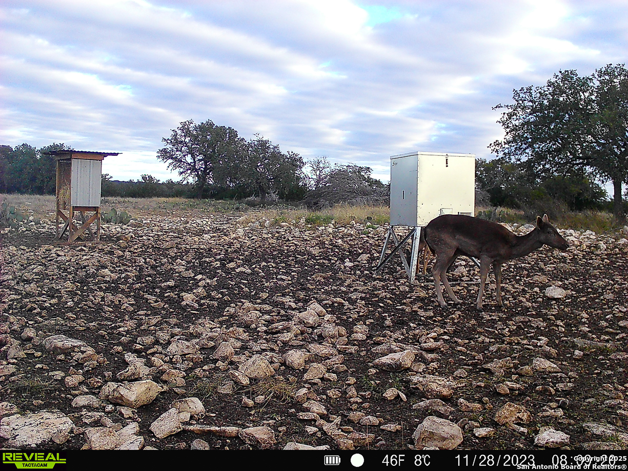 482 Wingert Road Junction, TX 76849 - Photo 41 of 61 a view of a yard