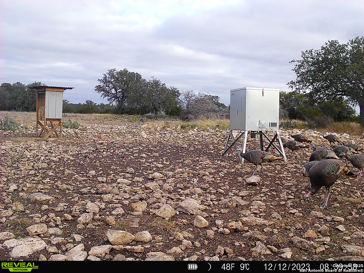 482 Wingert Road Junction, TX 76849 - Photo 42 of 61