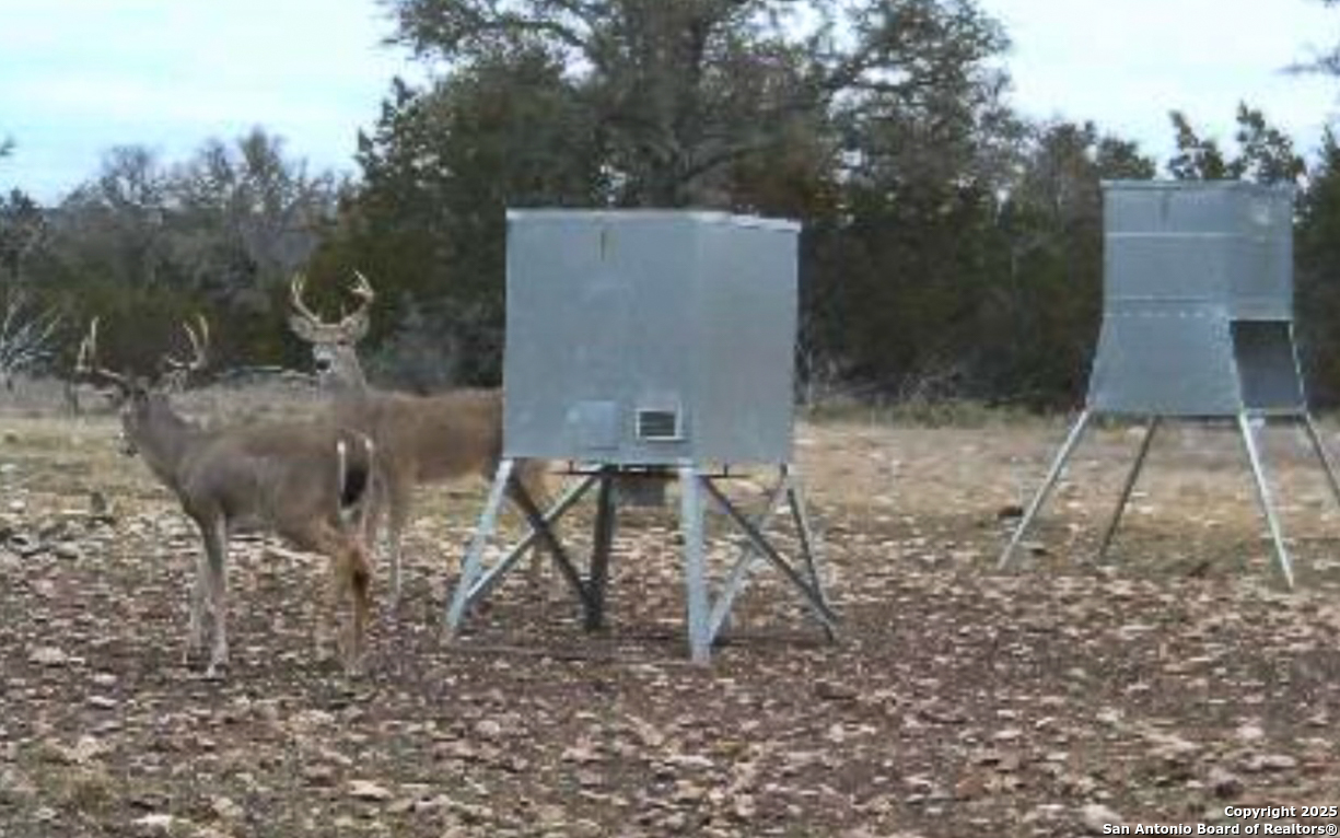 482 Wingert Road Junction, TX 76849 - Photo 43 of 61 a backyard of a house with table and chairs