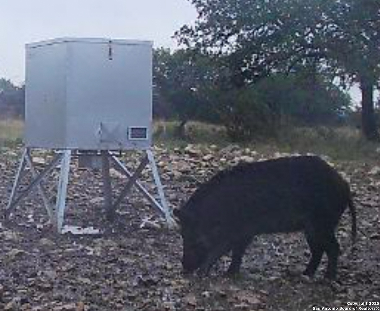 482 Wingert Road Junction, TX 76849 - Photo 44 of 61 a view of a yard