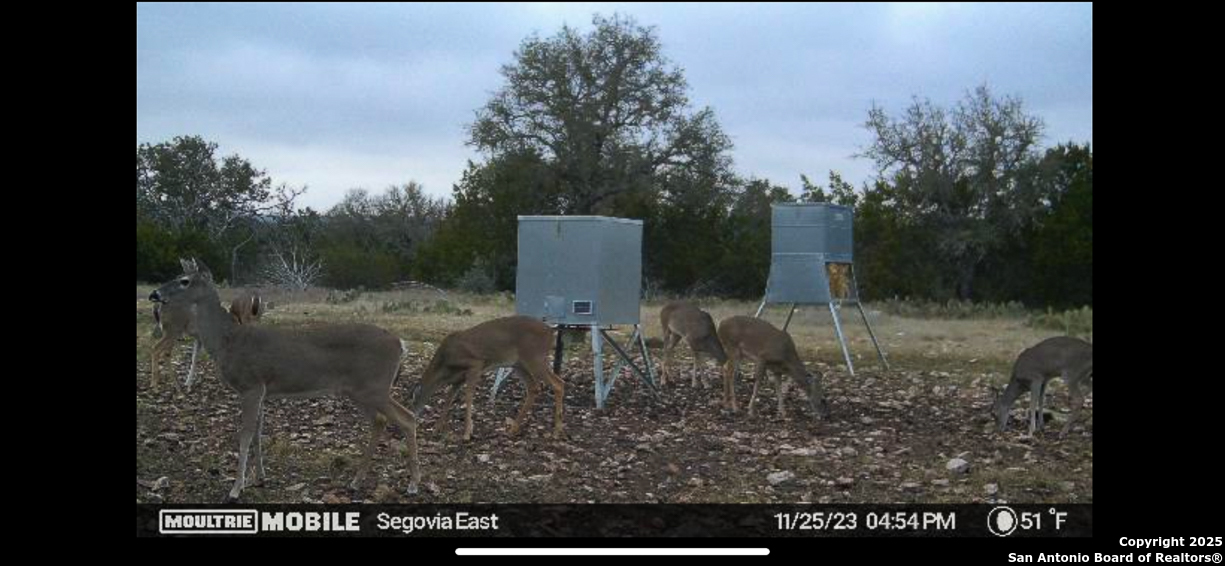 482 Wingert Road Junction, TX 76849 - Photo 45 of 61 a view of a back yard