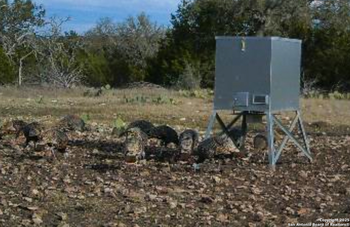 482 Wingert Road Junction, TX 76849 - Photo 46 of 61 a view of a yard