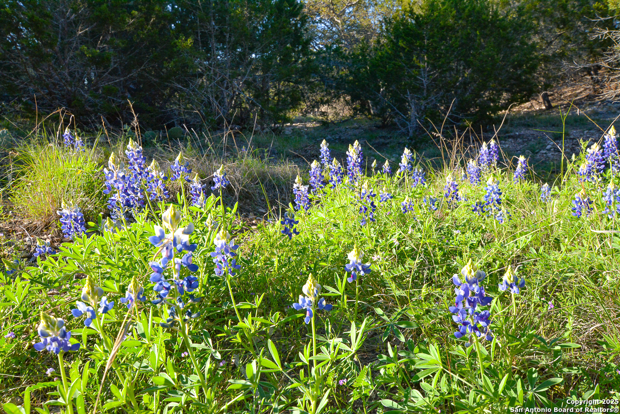 482 Wingert Road Junction, TX 76849 - Photo 47 of 61 a backyard of a house with lots of green space and a fountain