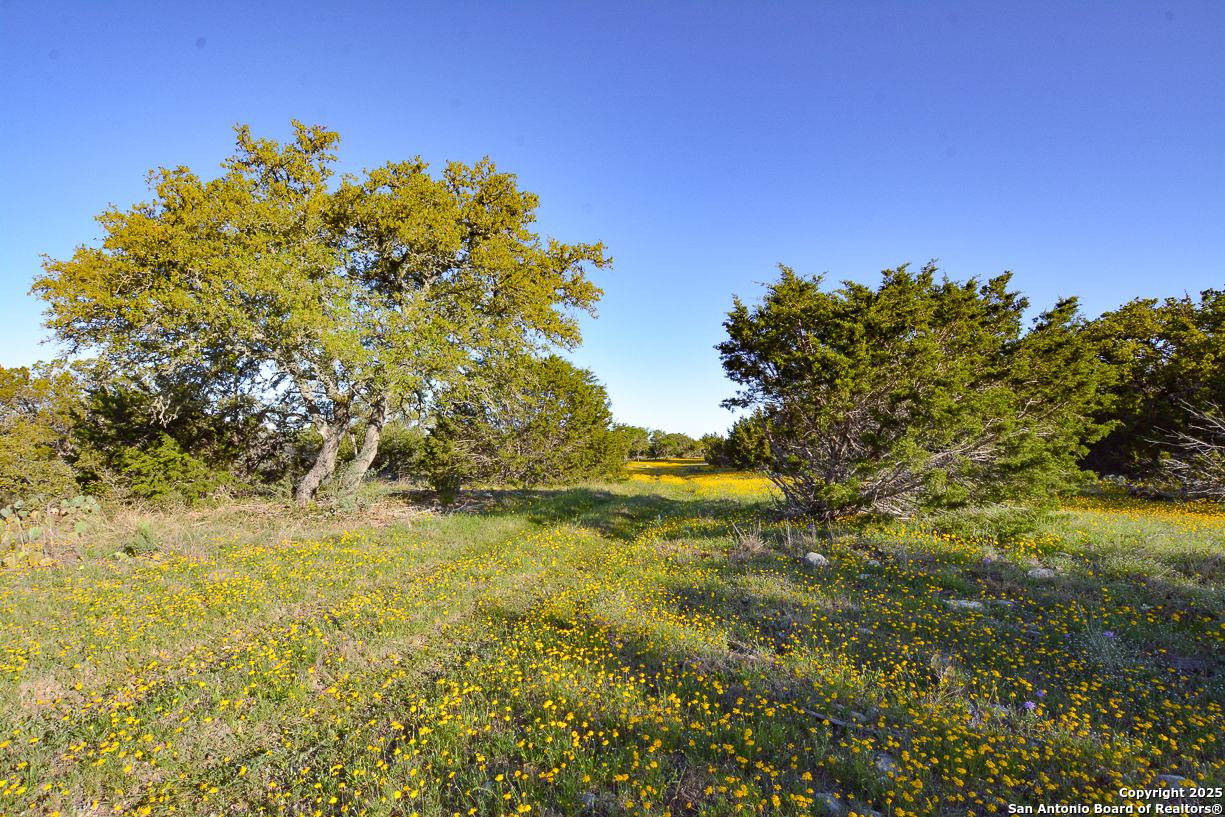 482 Wingert Road Junction, TX 76849 - Photo 50 of 61 a view of a yard