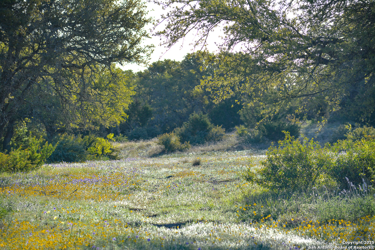482 Wingert Road Junction, TX 76849 - Photo 5 of 61 a view of a yard with plants and trees
