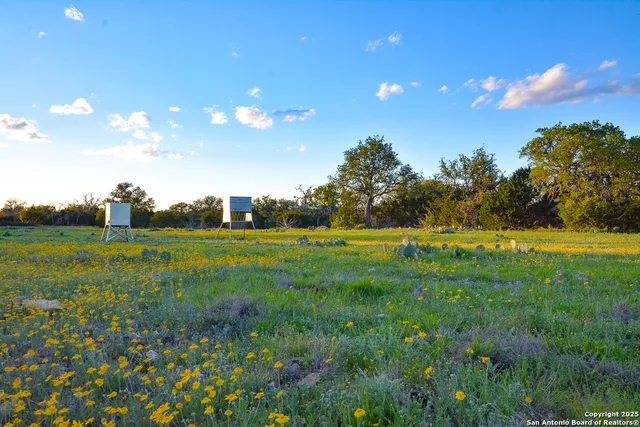 a view of a golf course with a lake