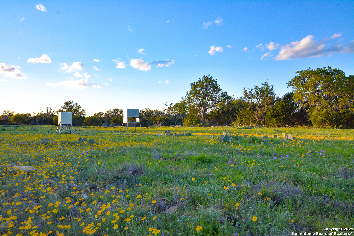 482 Wingert Road Junction, TX 76849 - Photo 6 of 61 a view of a golf course with a lake