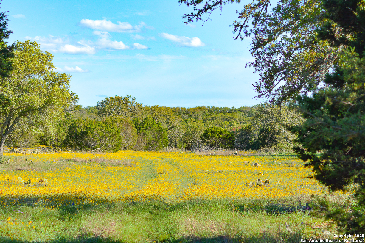 482 Wingert Road Junction, TX 76849 - Photo 7 of 61 a view of an ocean and a yard