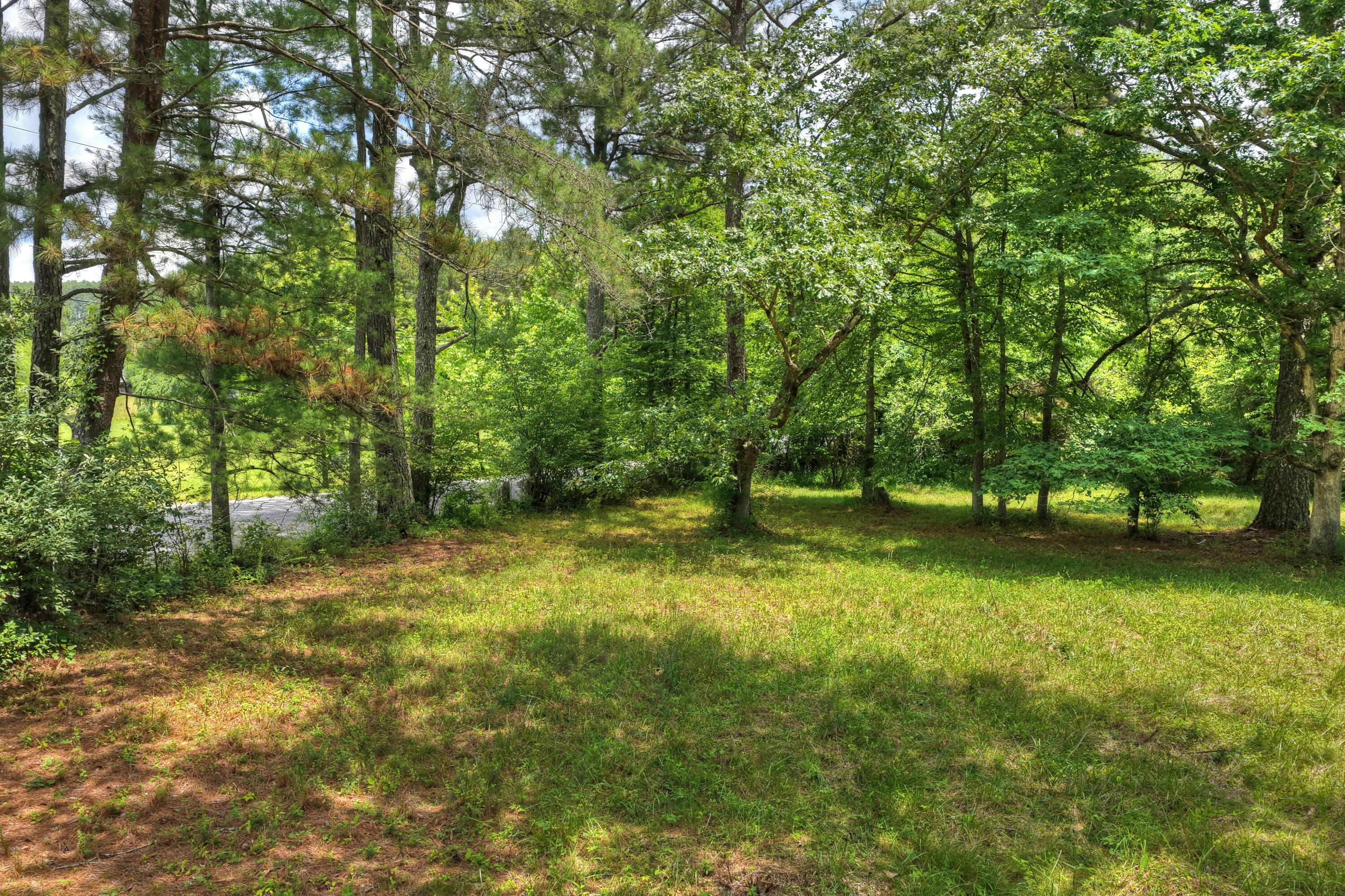 526 Airport Road Copperhill, TN 37317 - Photo 5 of 28 Airport Rd Byrd Property (4)