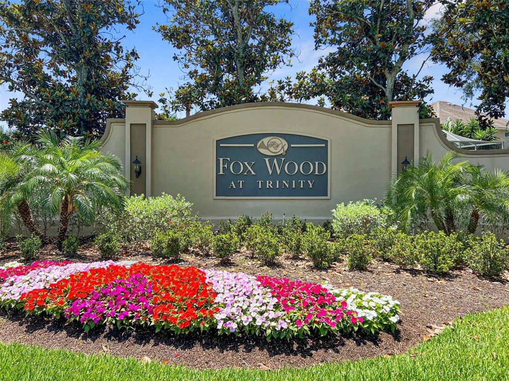 1718 Roseroot Court Trinity, FL 34655 - Photo 48 of 55
