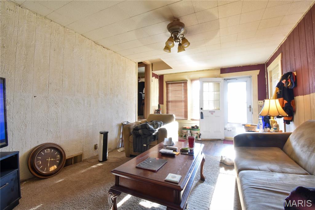 307 South Street Gillespie, IL 62033 - Photo 23 of 23