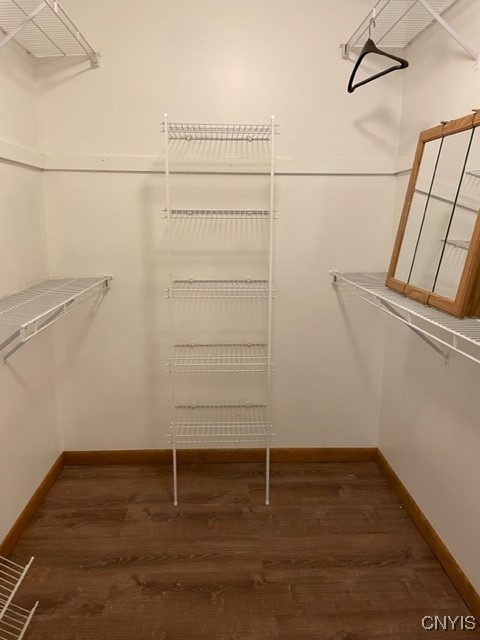 8184 Bluffview Drive Manlius, NY 13104 - Photo 10 of 14