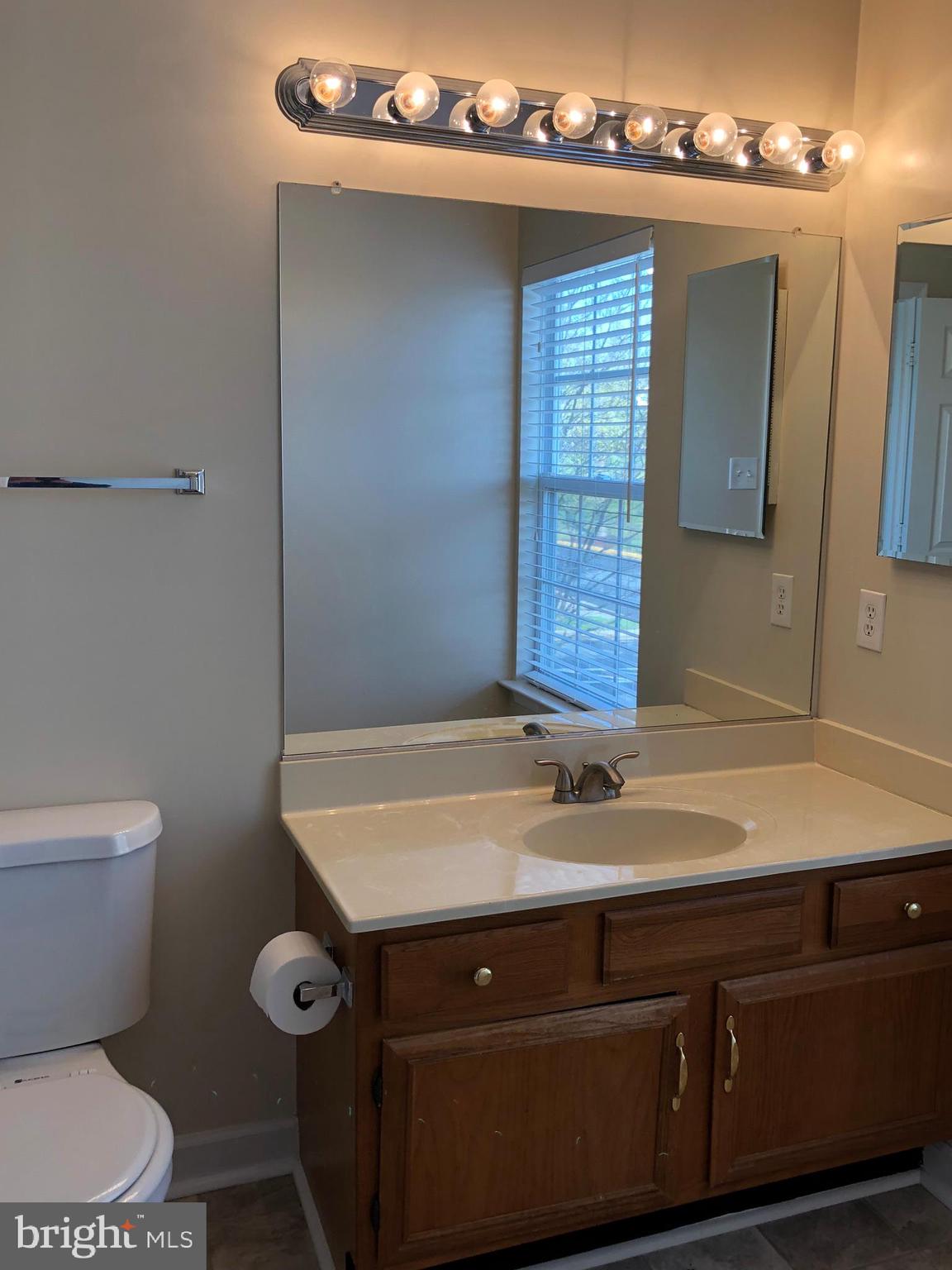 6412 View Point Court Frederick, MD 21703 - Photo 16 of 38 a bathroom with a sink a toilet and mirror