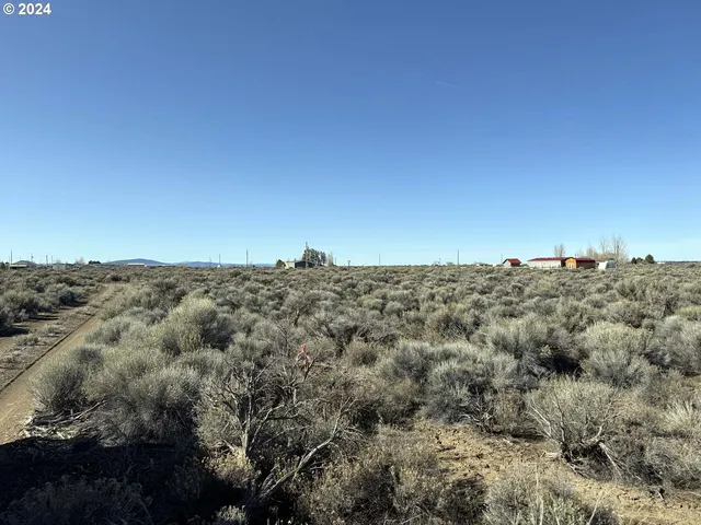 $7,000 | Larch Street, Unit 100, Christmas Valley, OR 97641