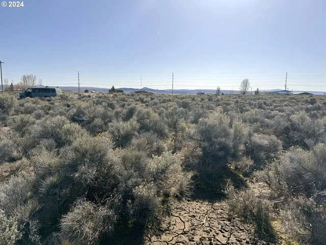 $7,000 | Larch Street, Unit 100, Christmas Valley, OR 97641