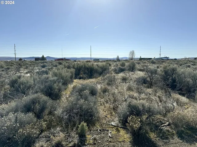 $7,000 | Larch Street, Unit 100, Christmas Valley, OR 97641