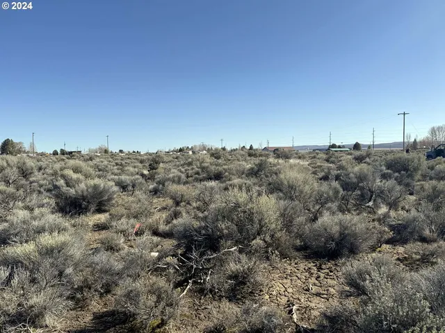 $7,000 | Larch Street, Unit 100, Christmas Valley, OR 97641