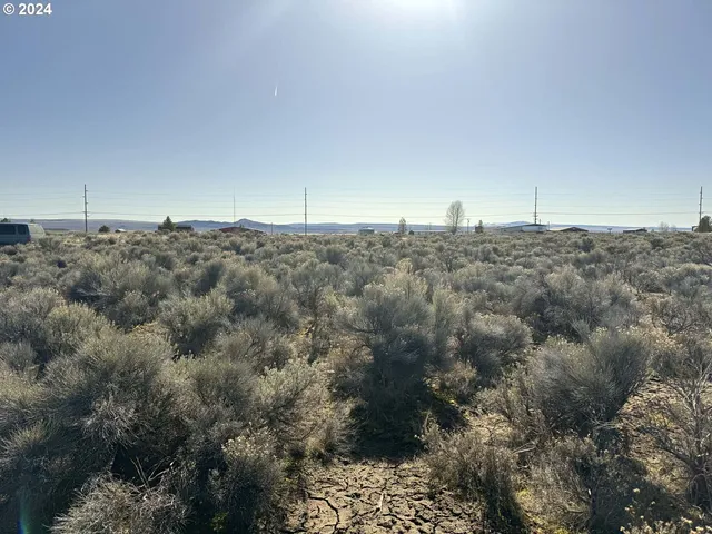 $7,000 | Larch Street, Unit 100, Christmas Valley, OR 97641