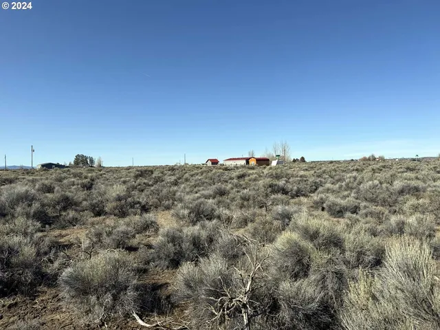 $7,000 | Larch Street, Unit 100, Christmas Valley, OR 97641