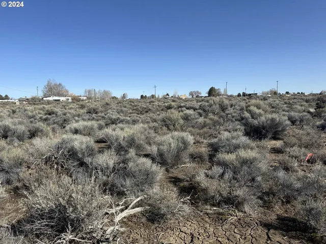 $7,000 | Larch Street, Unit 100, Christmas Valley, OR 97641