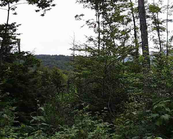 0 Wescott Road Chestertown, NY 12817 - Photo 3 of 3 Photo 3