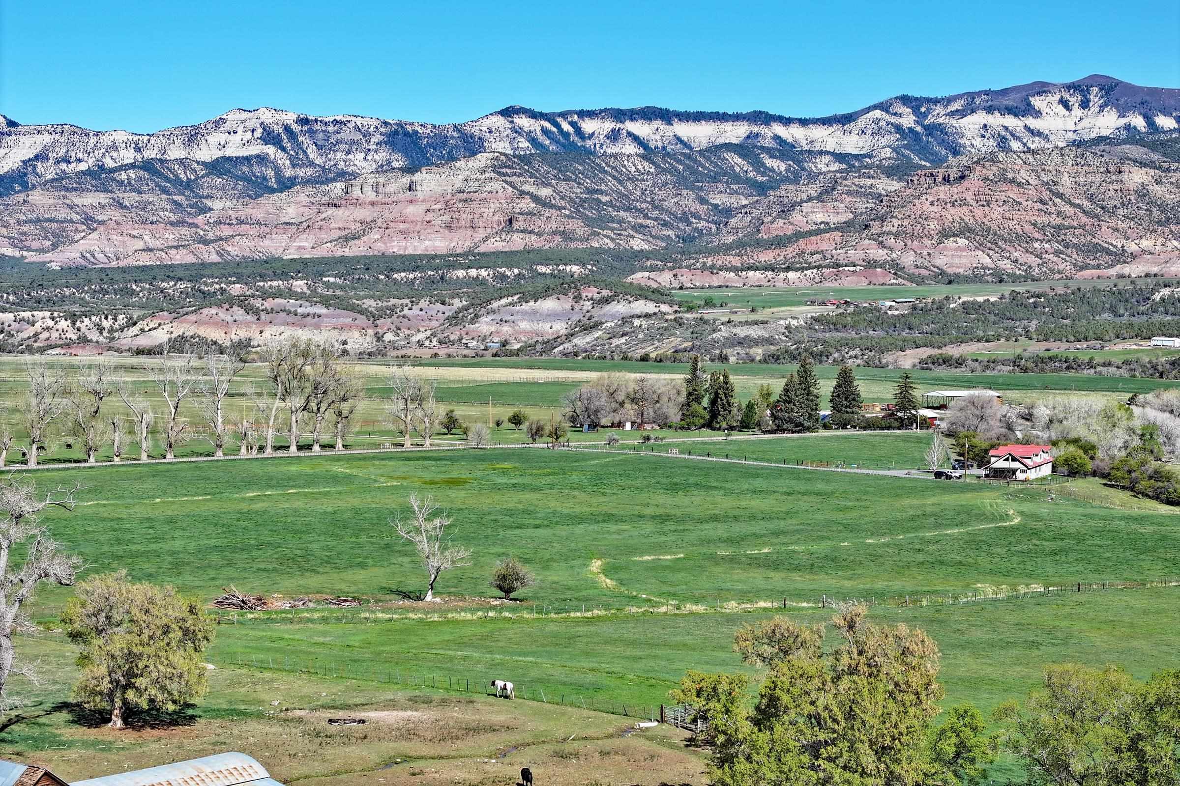 58749 Oe Road Collbran, CO 81624 - Photo 15 of 18