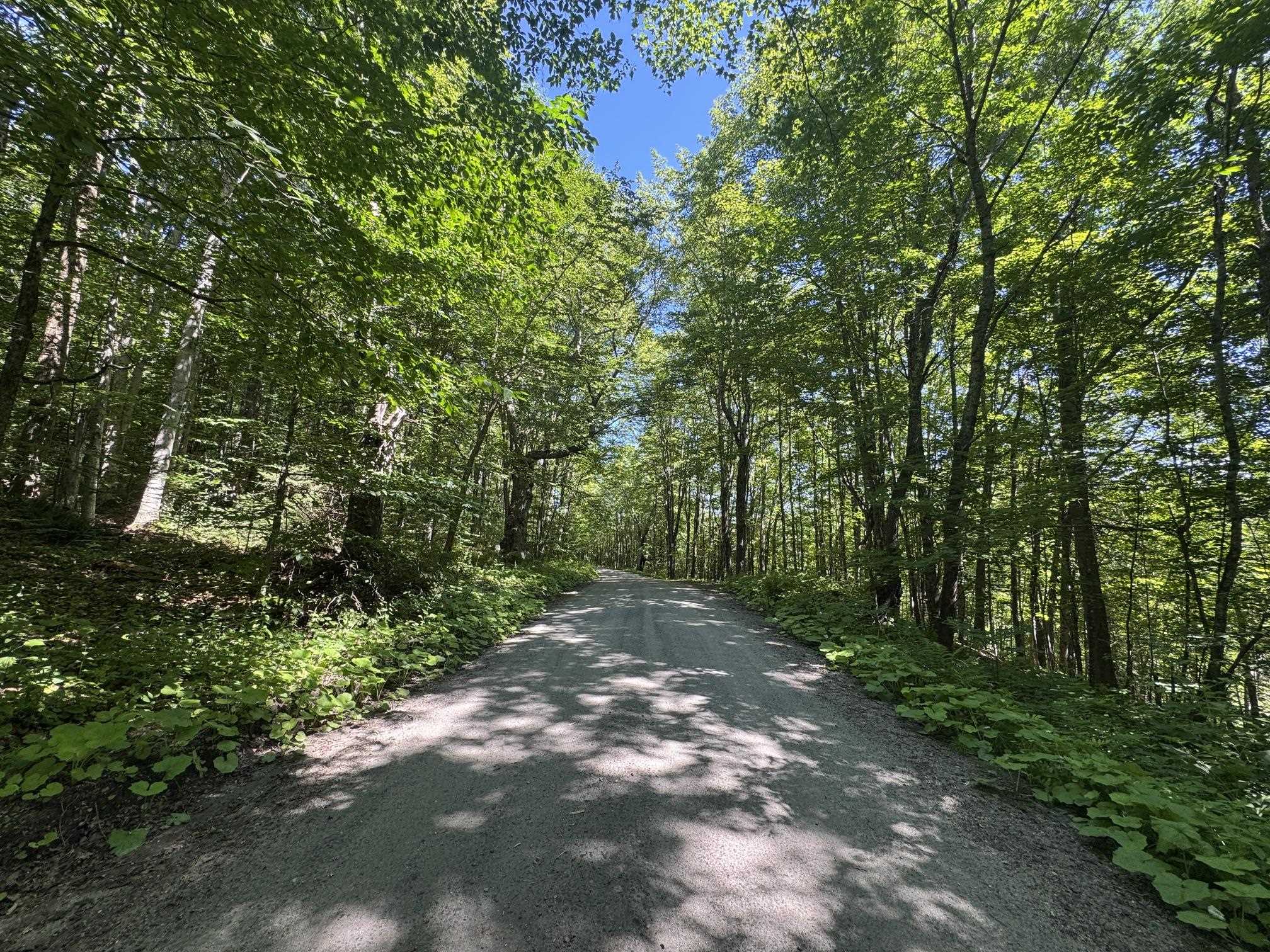 316 Last Road Cabot, VT 05647 - Photo 4 of 26