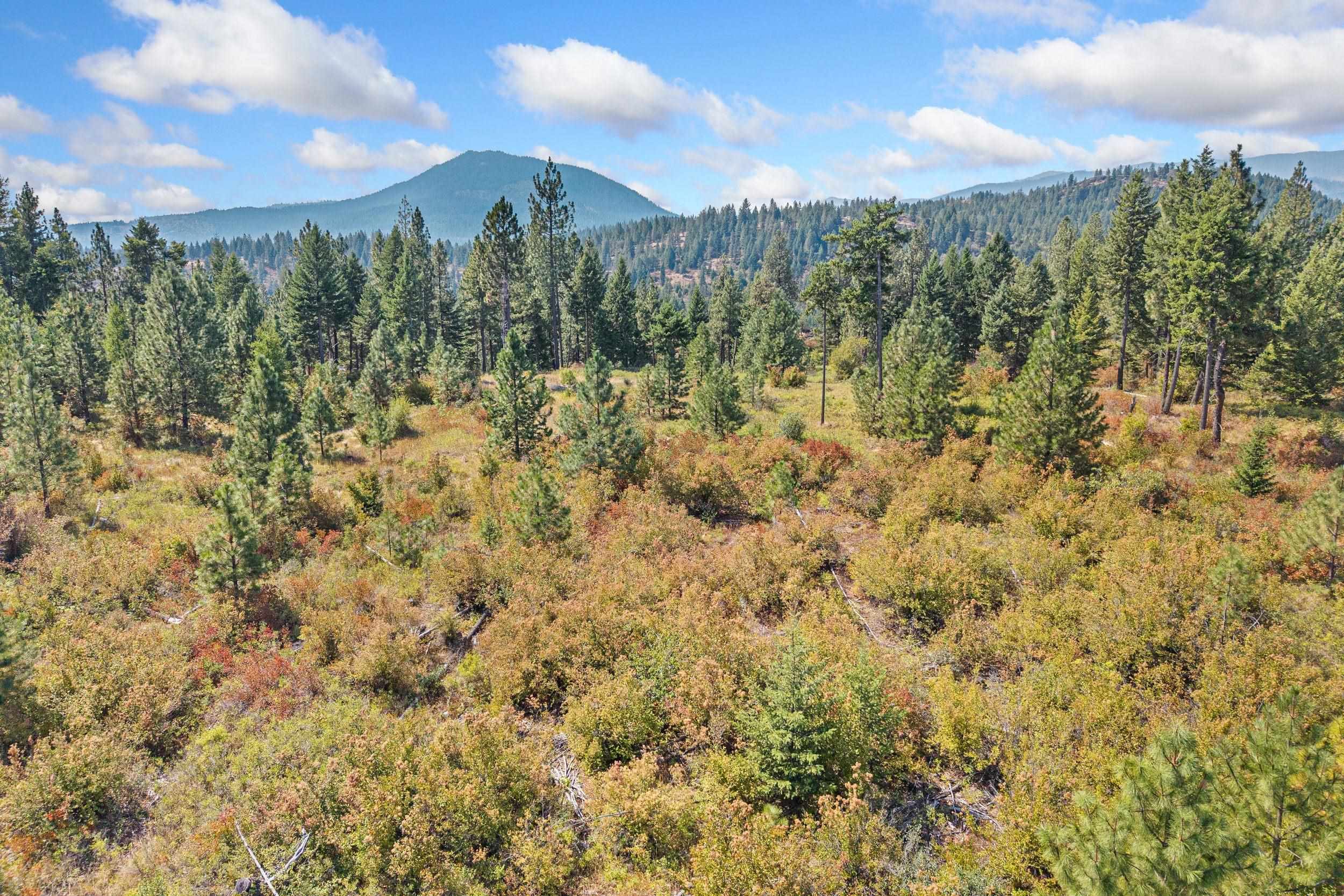 Nka Hoag Road Valley, WA 99181 - Photo 19 of 35 Gallery Image 19