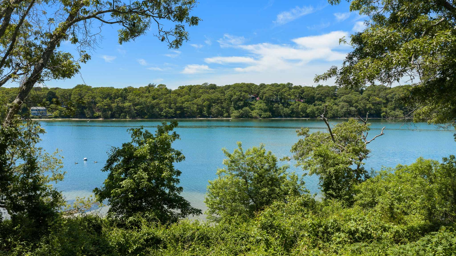 385 Barnes Road Oak Bluffs, MA 02557 - Photo 9 of 70