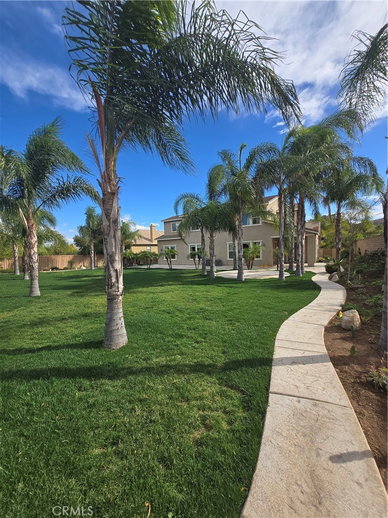 16231 Yarmouth Circle Riverside, CA 92503 - Photo 25 of 27 a view of a street with palm trees