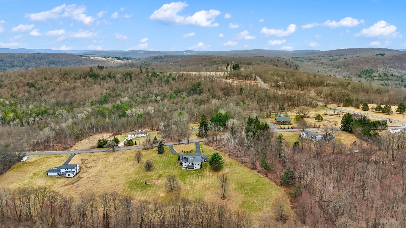 29 West Hill Road Vestal, NY 13850 - Photo 48 of 50