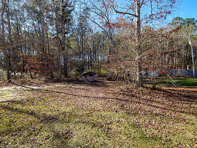183 Old Beech Hill Road Ridgeville, SC 29472 - Photo 40 of 50 183 Old Beech Hill Rd