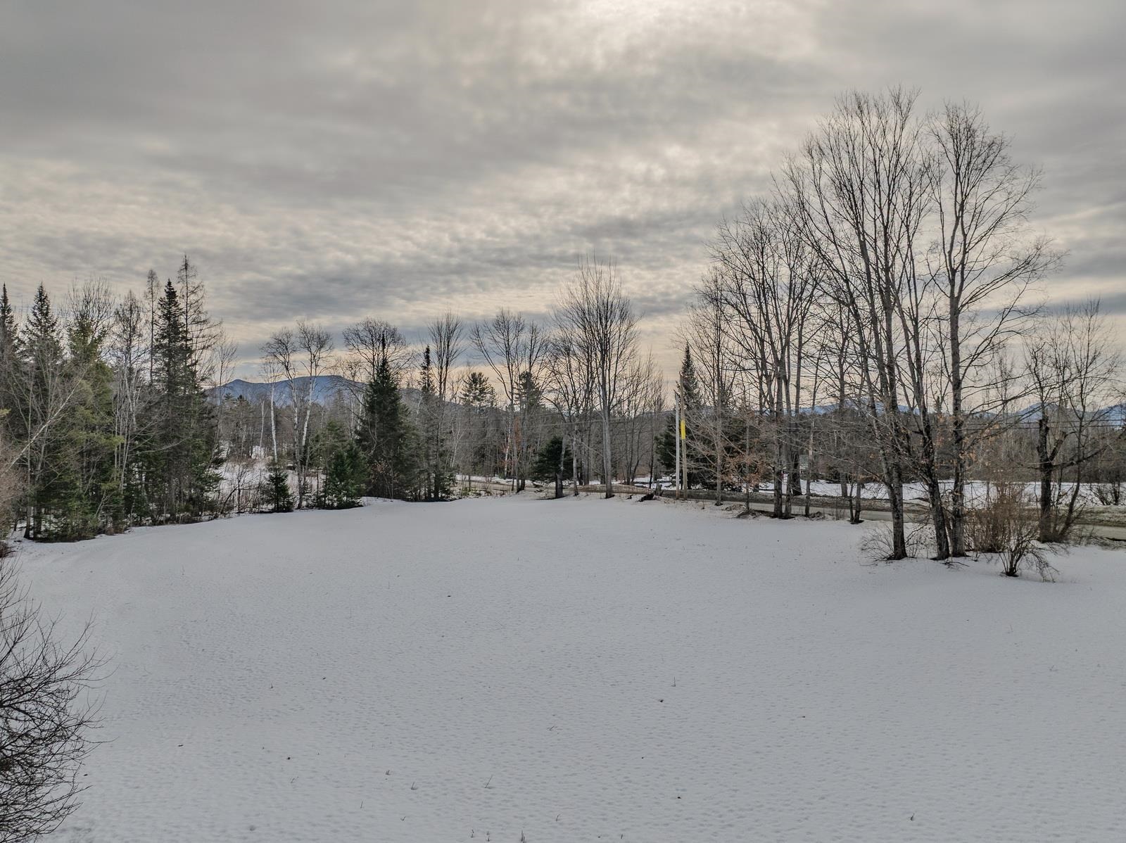 249 Mountain View Road Whitefield, NH 03598 - Photo 47 of 50