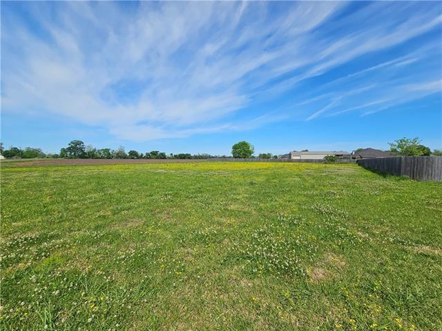 6810 Hot Wells Road Alexandria, LA 71303 - Photo 4 of 4