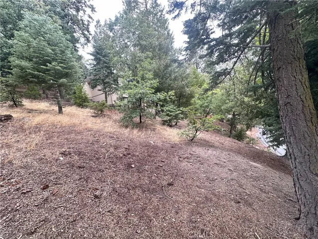a view of a yard with trees