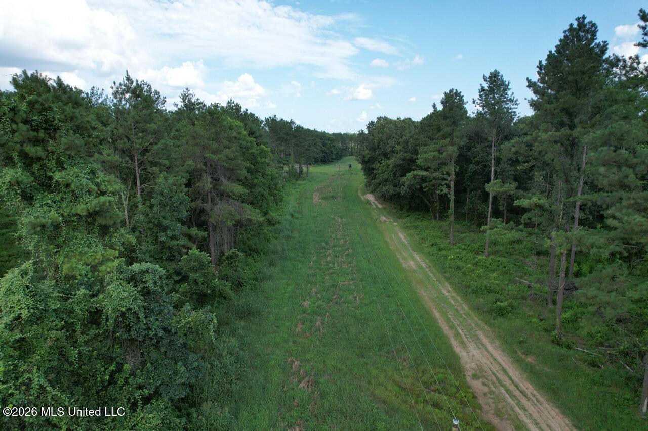 Woodlawn Road Woodville, MS 39669 - Photo 8 of 47 DJI_0265 Large