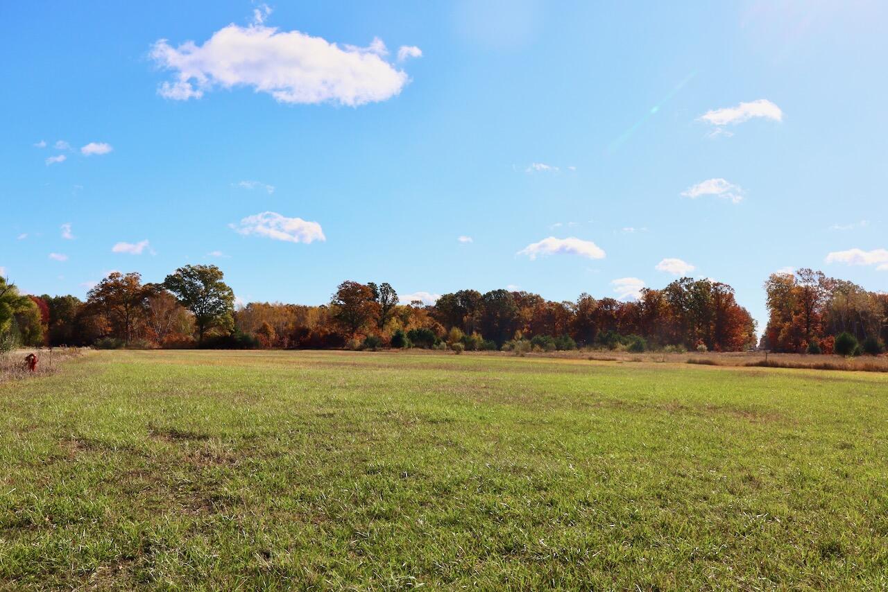 West Beamish Road Sanford, MI 48657 - Photo 9 of 27