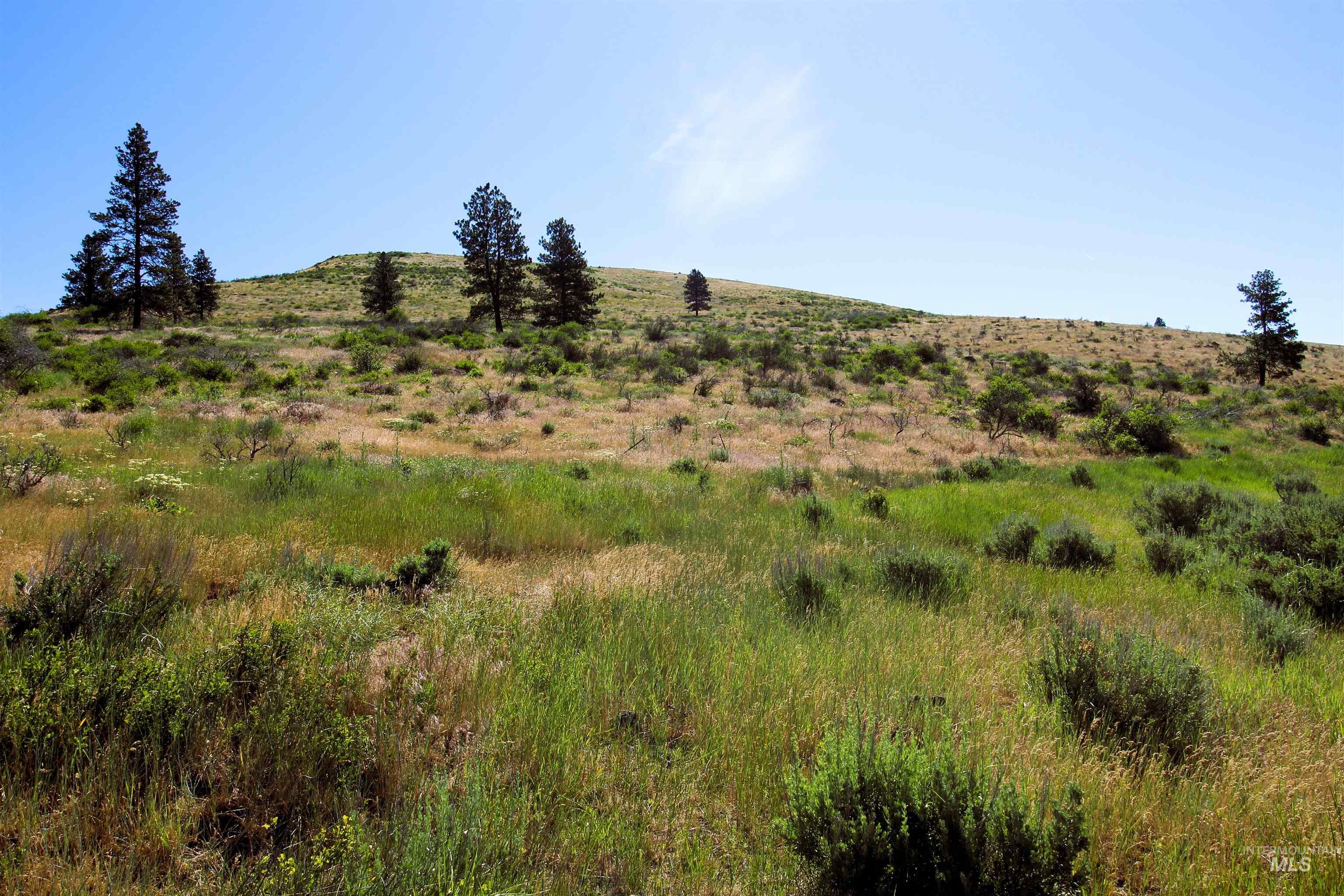 Tbd Advent Gulch Road Cambridge, ID 83610 - Photo 12 of 24