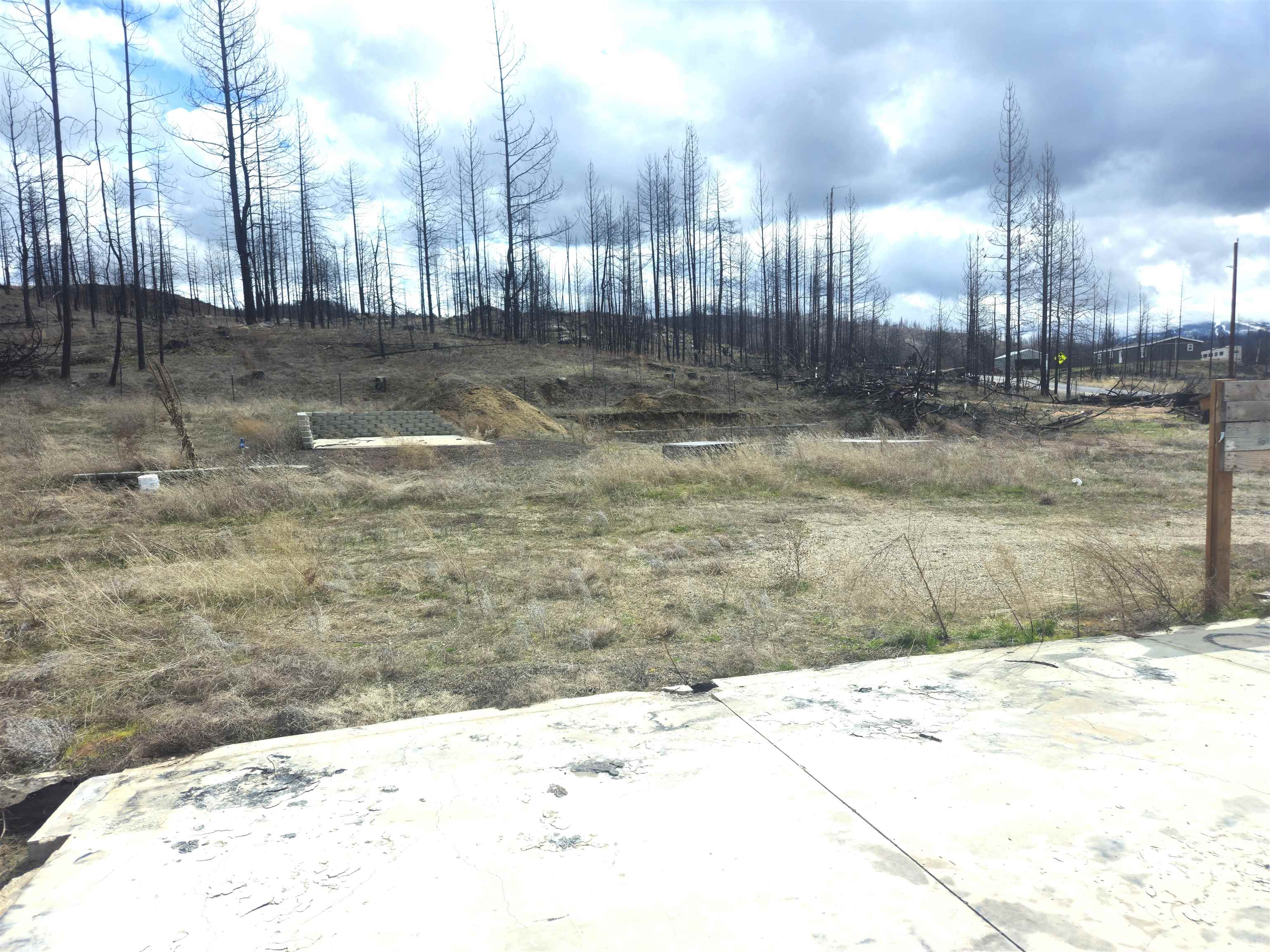 15915 East Oregon Road Elk, WA 99009 - Photo 4 of 25