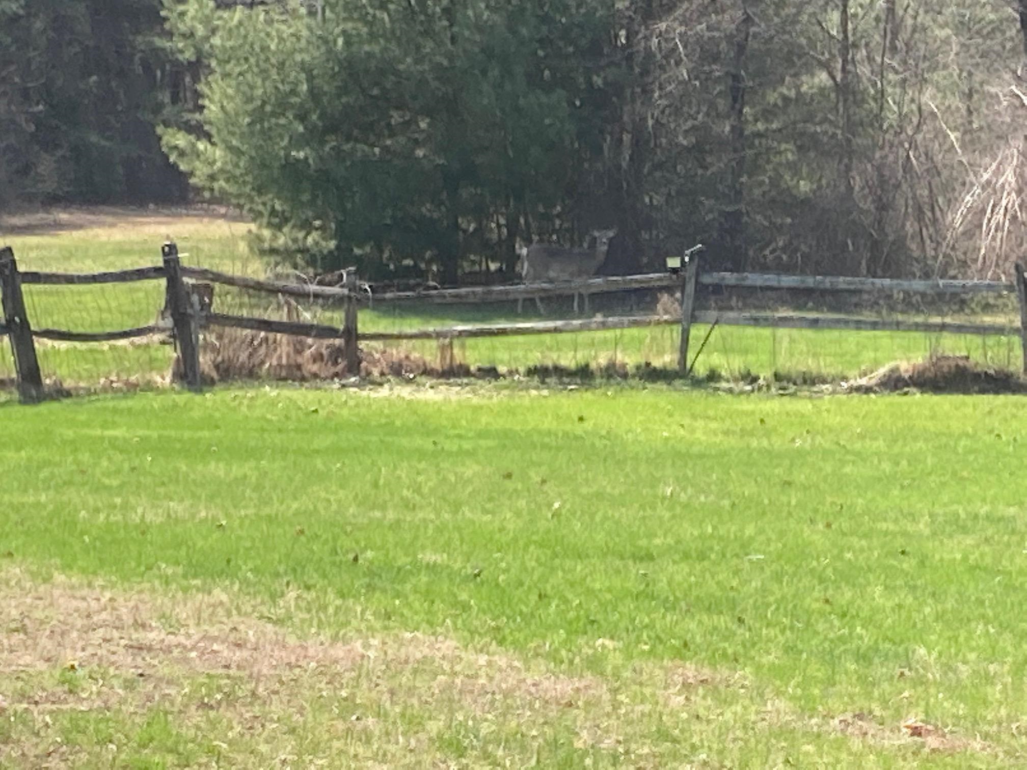 179 Back River Road Bedford, NH 03110 - Photo 30 of 31