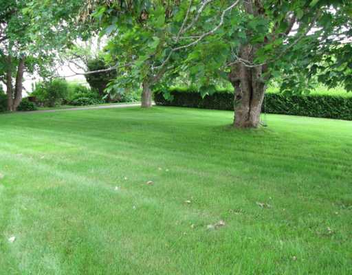 80 Shaw Road Little Compton, RI 02837 - Photo 4 of 4 Yard/Garden. Front yard enjoys added privacy from mature trees and hedgerow halfway between house and street.