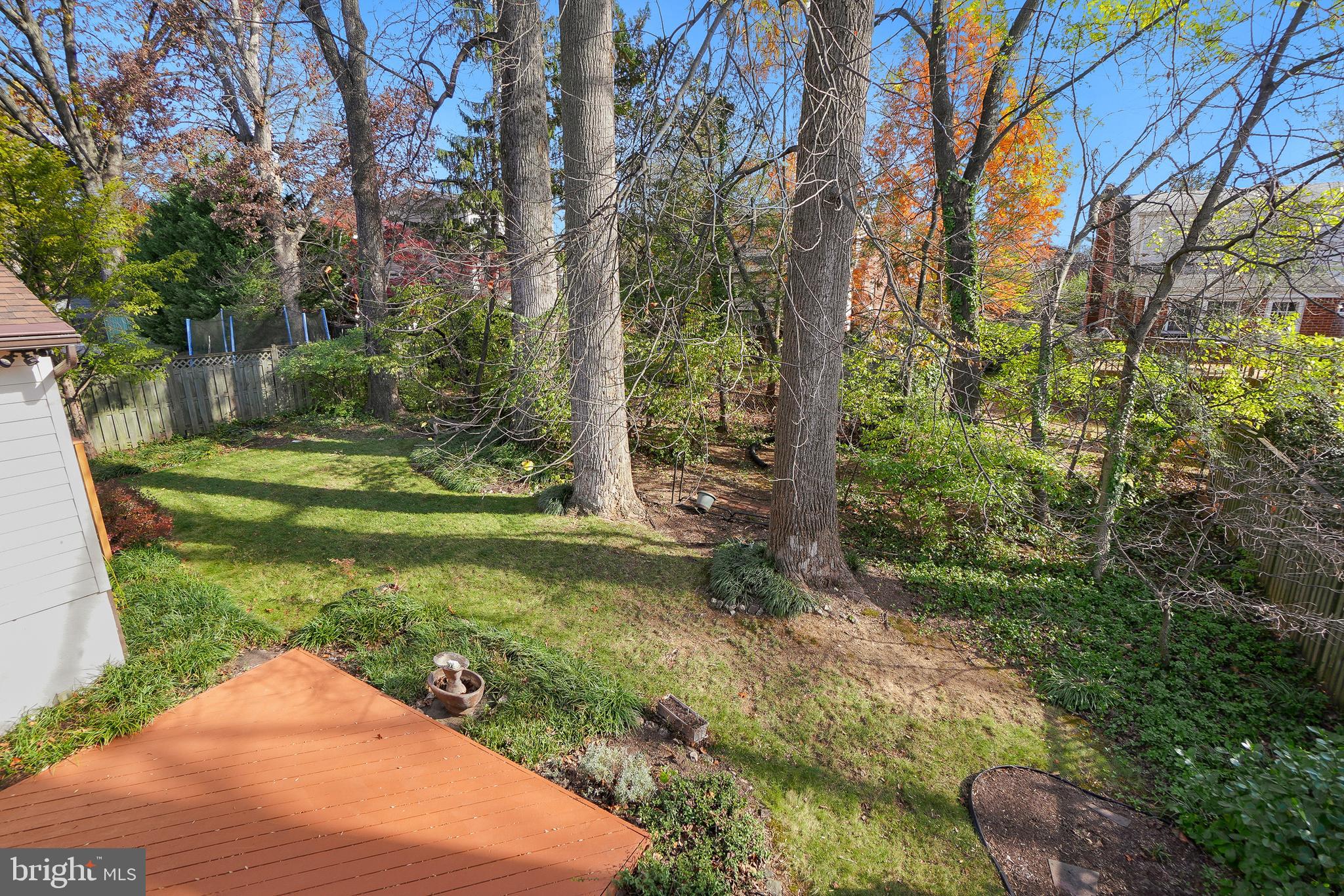 9127 Kirkdale Road Bethesda, MD 20817 - Photo 31 of 34 a view of a garden with a tree