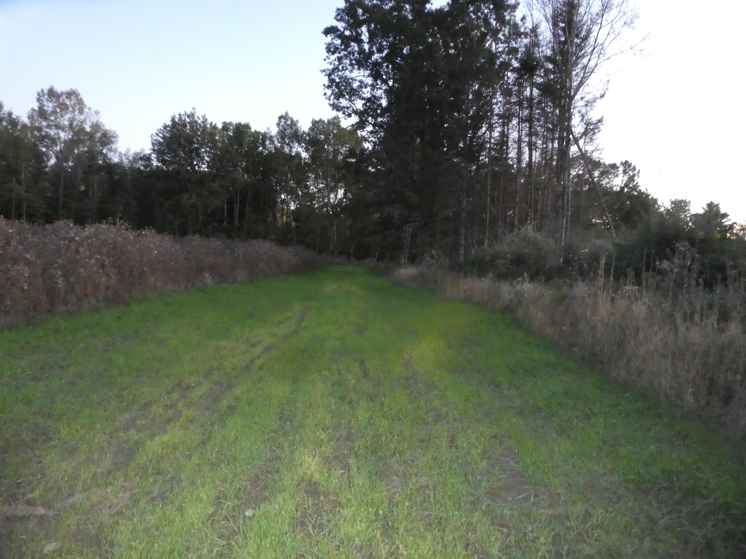 12649 Beaver Lake Road Lachine, MI 49753 - Photo 21 of 65 Gallery Image 21