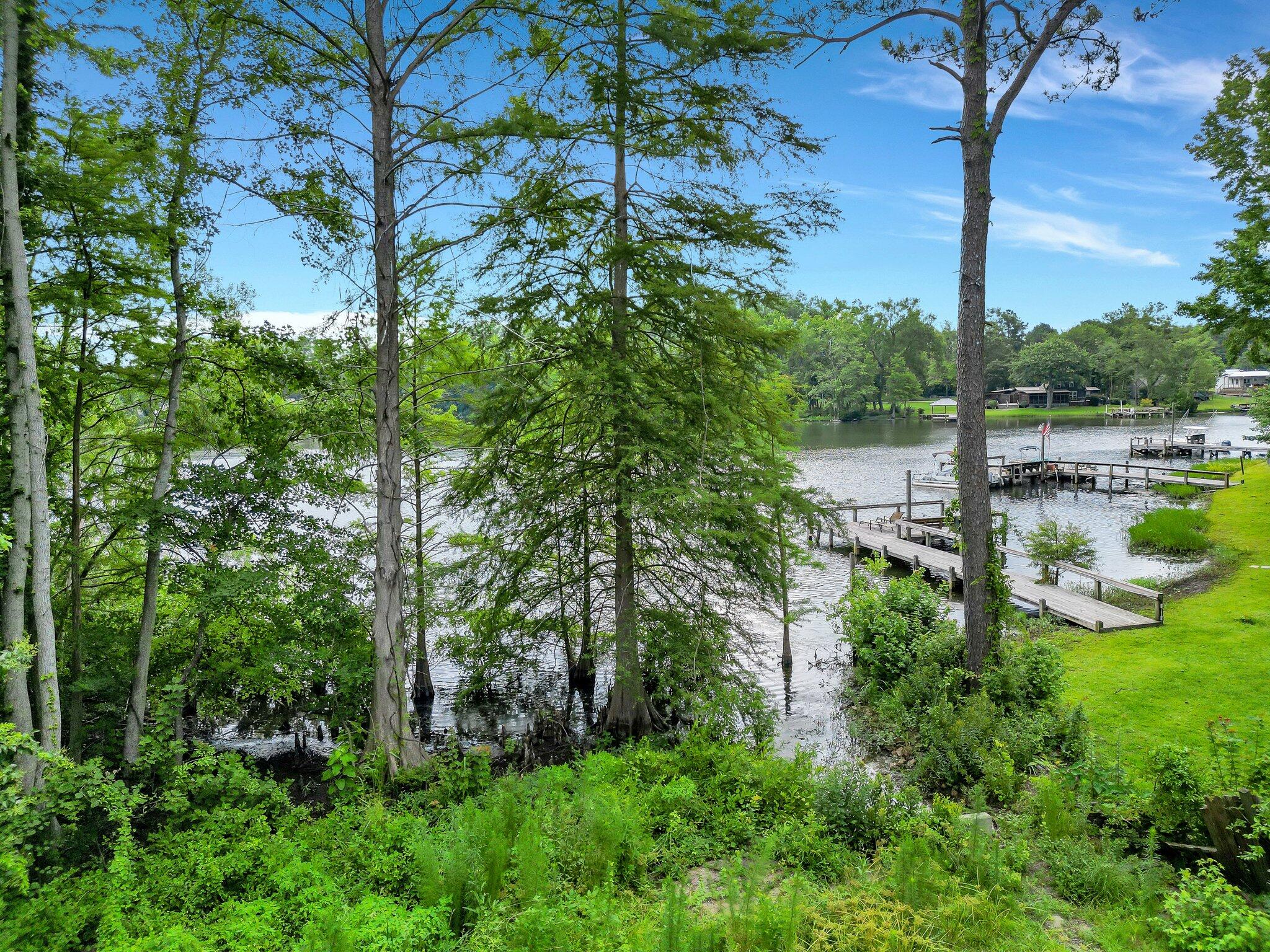 10841 Highway 260, Unit 1 & 2 Manning, SC 29102 - Photo 47 of 47 108-web-or-mls-DJI_0124