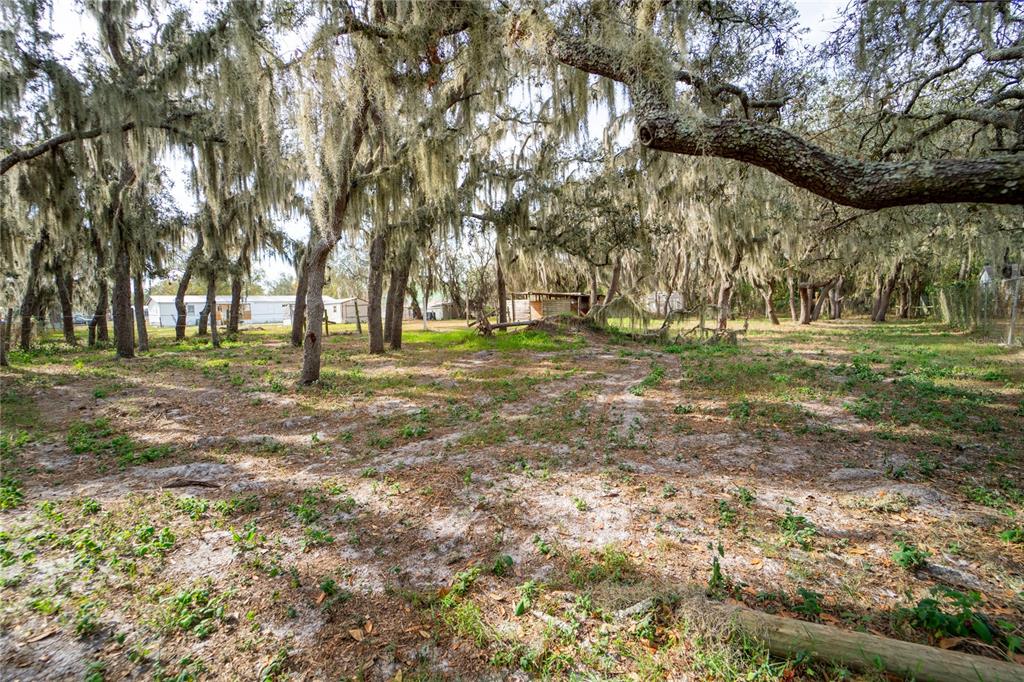 12510 Tocci Lane Riverview, FL 33579 - Photo 30 of 36