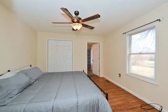 a view of a yard with large trees